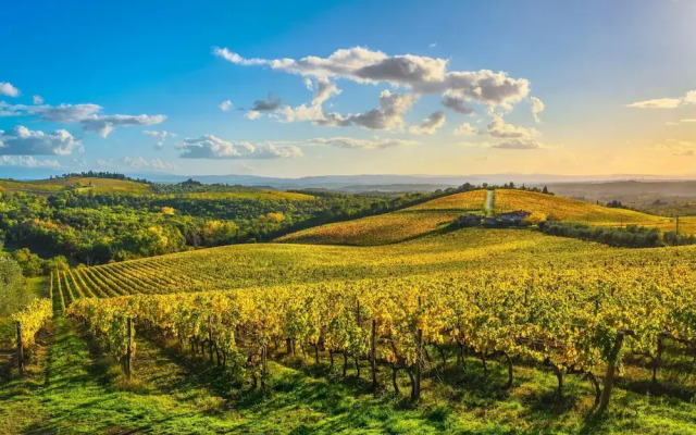 Chianti Apt Private Panoramic Garden