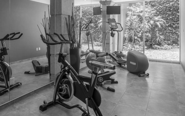 Reforma Guest House