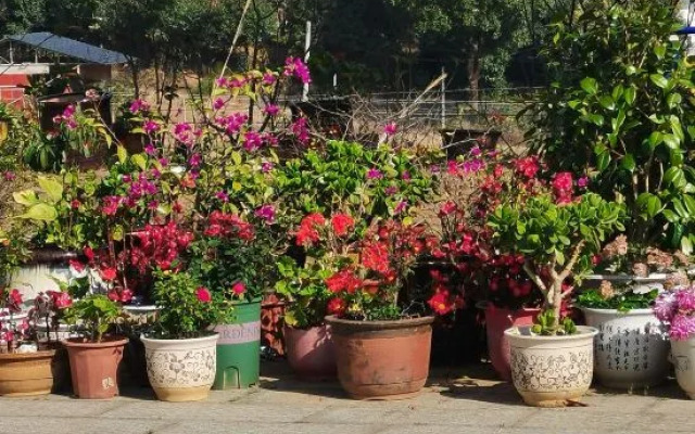 No Shaoguang Homestay Former Residence Inn