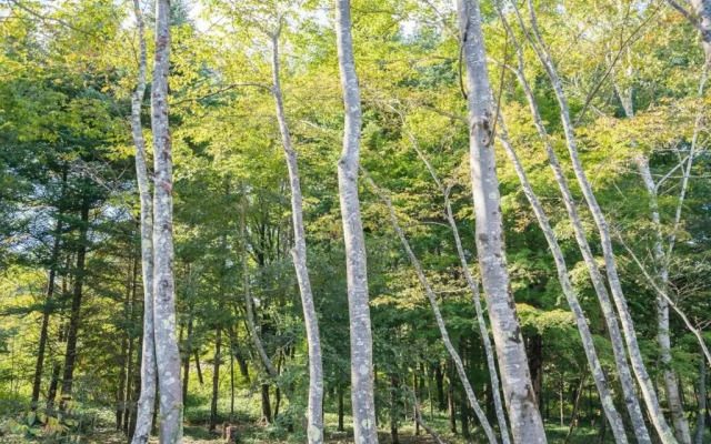 富士ファブリック ステイ