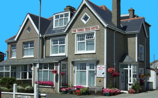 The Three Tees - Guest house