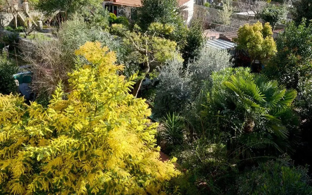 Villa nei fiori