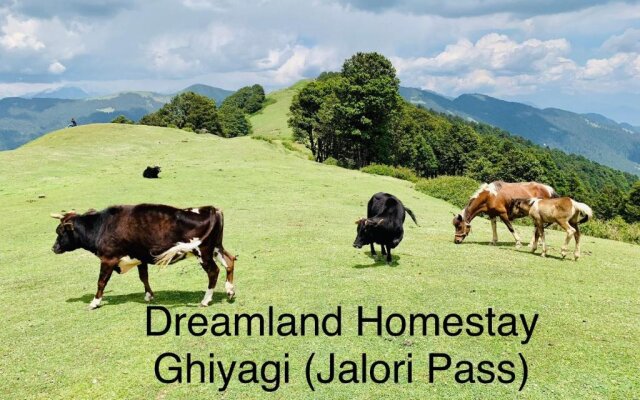 DreamLand Home stay (JALORI PASS)