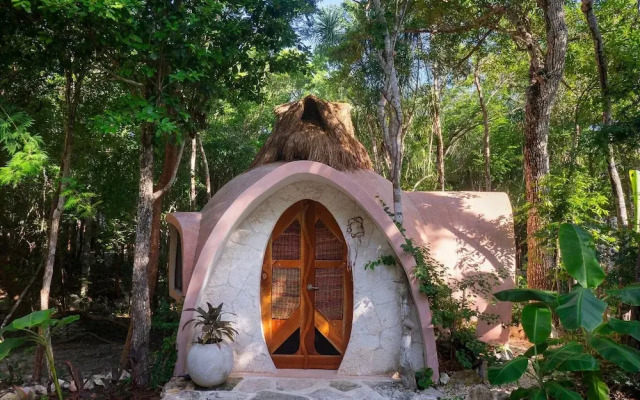 Room-unique Jungle Dome Ik