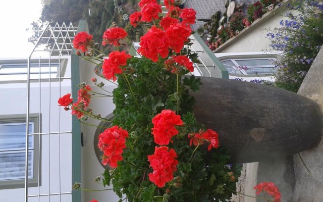 Qantara Hotel Nuwaraeliya