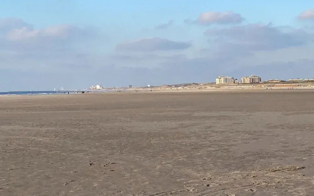 Coastal Apartment Near Dunes