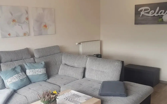 Flat in Medebach Near the ski Area