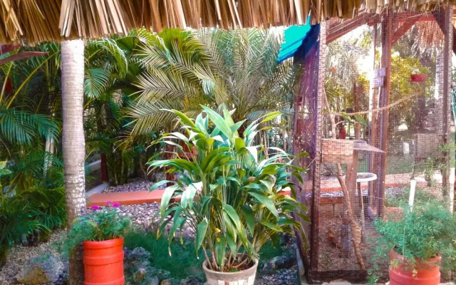 Sosua Adventure  Wellness