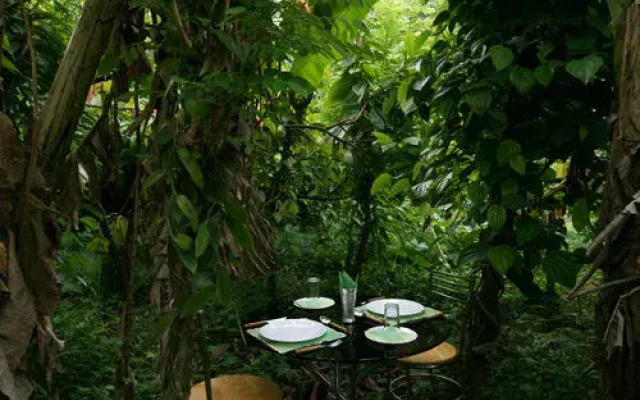 Aruvi Resorts