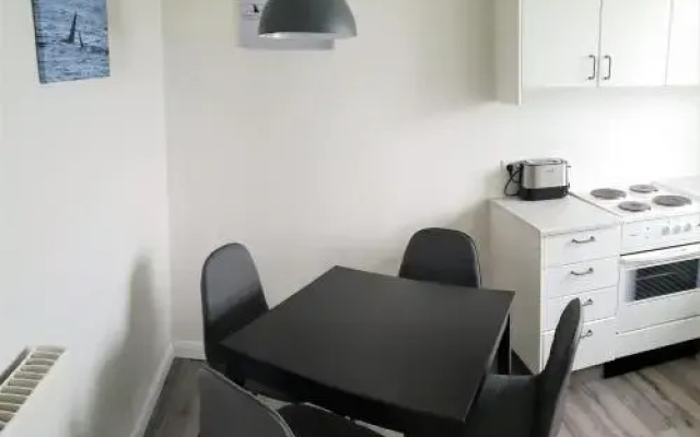 Grundarfjordur Guesthouse and Apartments