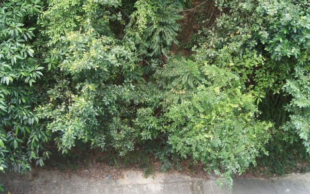 Hotel Hsiang Garden