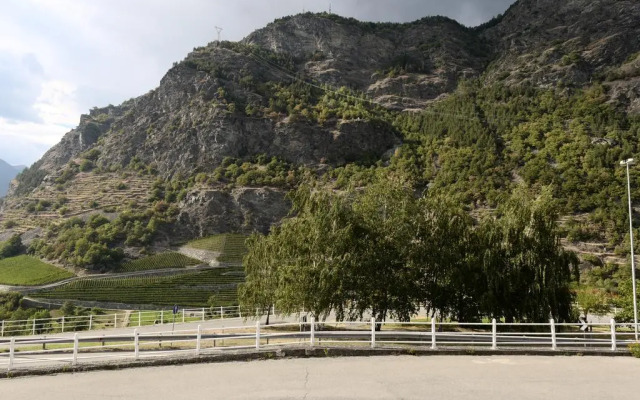 View of the vineyards