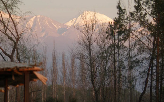 Postales by DOT Boutique