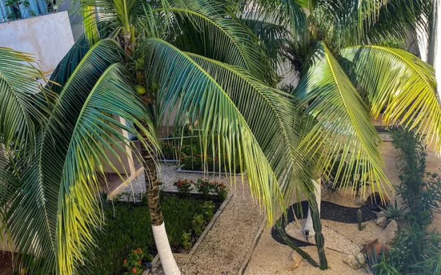 Moonshine Tulum Hotel