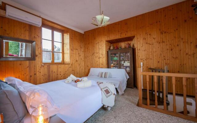 Il Vigneto Sul Lago Vineyard Lake View