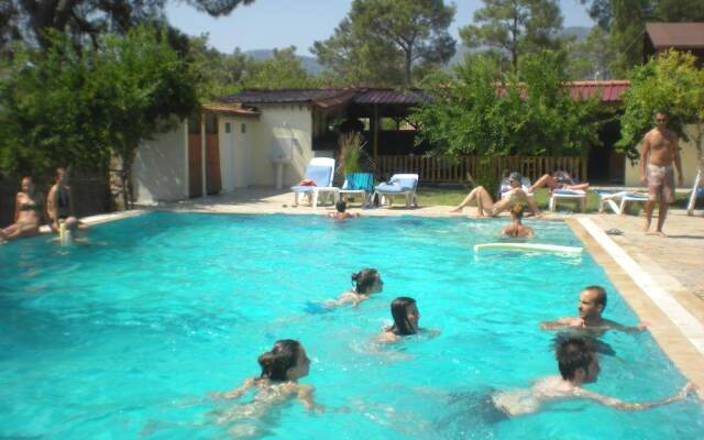 Don Kisot Pansiyon