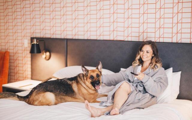 Hyatt Centric Downtown Minneapolis