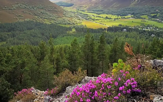 Granford Guest House