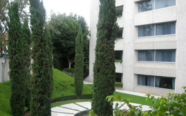 Royal Pedregal Hotel