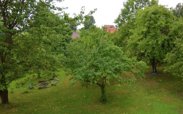 Luxurious Holiday Home in Perlesreut Near Forest