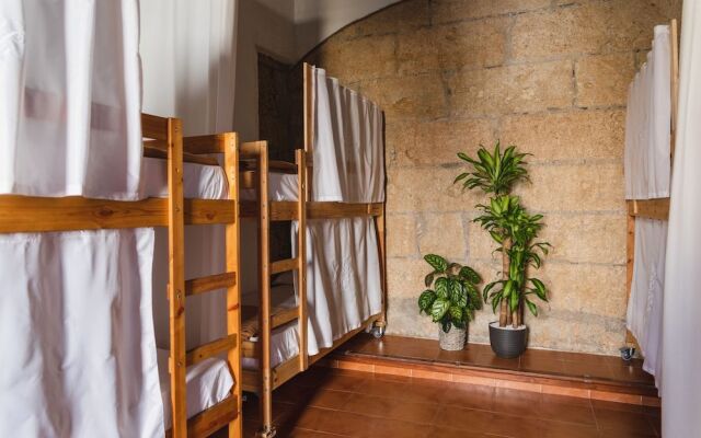 Ashavana Nest Hostel