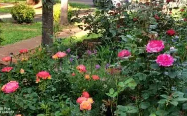 Will's Wonderland B&B & Farmstay