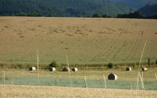 Apartment in Merschbach With Garden