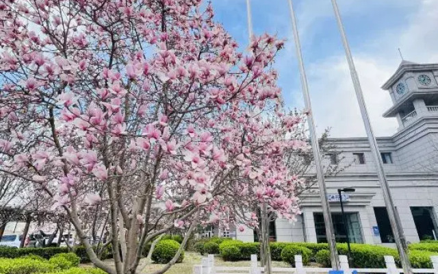 Beijing Shunyi Hotel