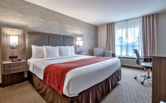 Comfort Inn And Suites South