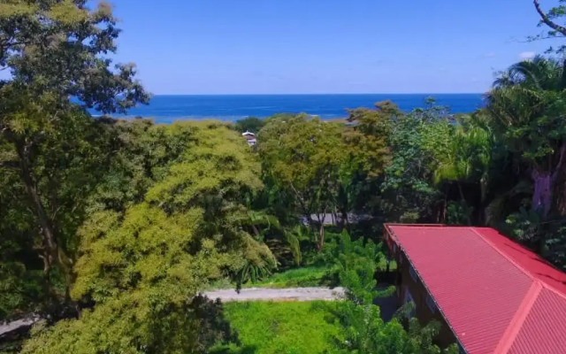 Jungle Reef Inn