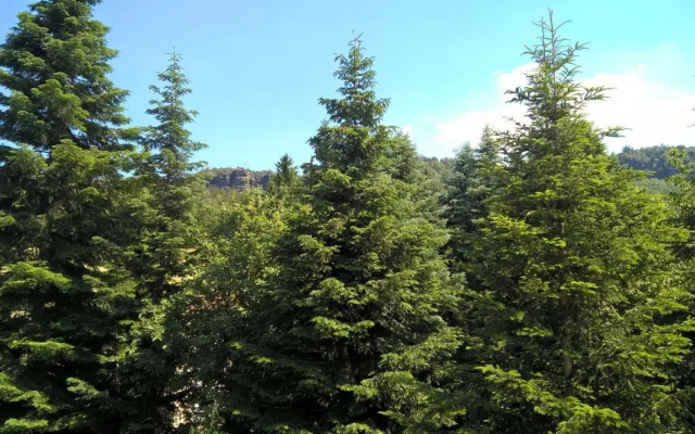 Pension&Gasthaus Zschirnsteinbaude