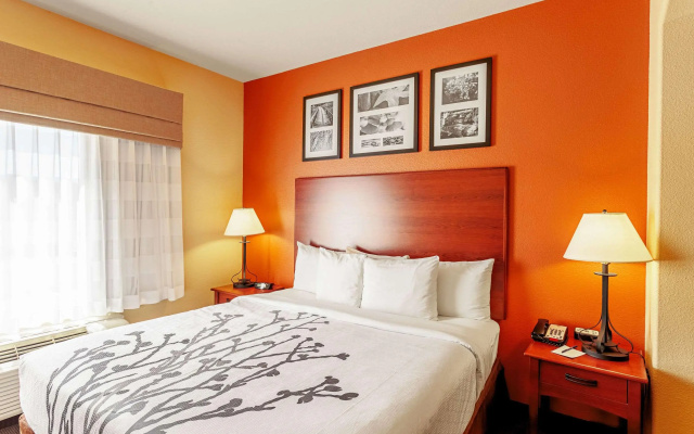 Sleep Inn & Suites Tyler South