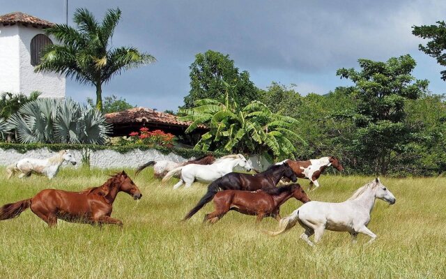 Rancho Chilamate Guest Ranch