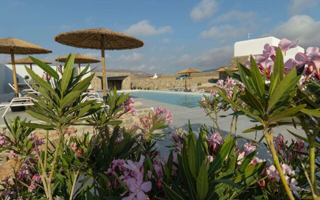 Alirene Mykonos