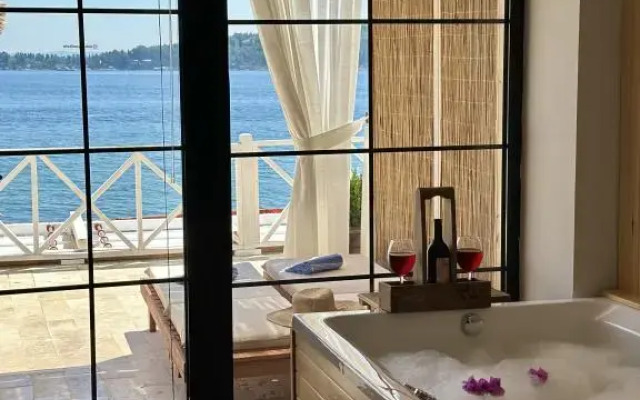 Ank’Ada Ayanikola (12+ Adult Only)