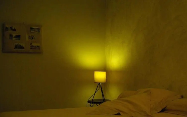 Les Dryades du Bois de Randan