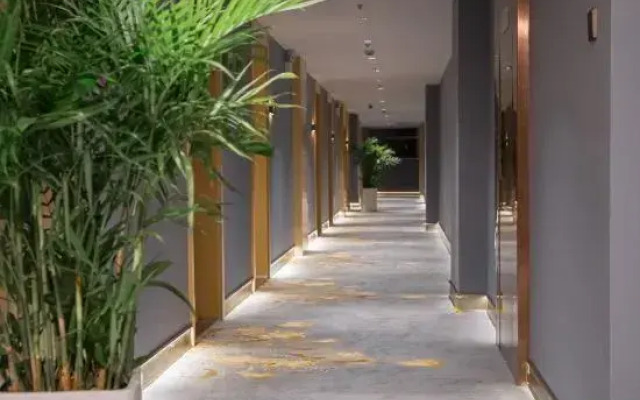 Xuancheng Peninsula | High - altitude Night View Luxury Hotel