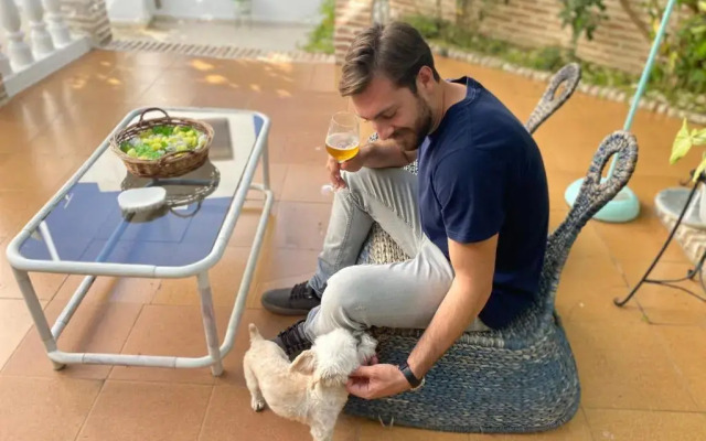 El patio del limonero