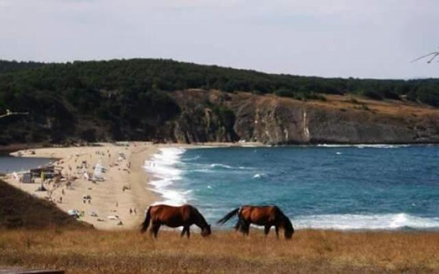 Sweet Suite Sinemorets