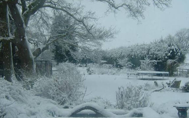 Claxton Hall Cottage