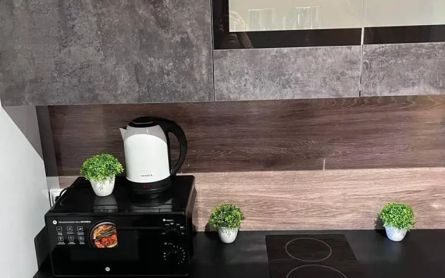 Duet Apartment on Engels Street 27