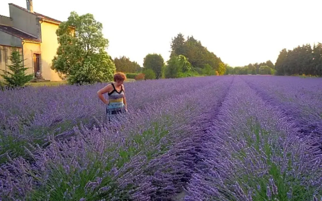 L'Atelier des Coudelières