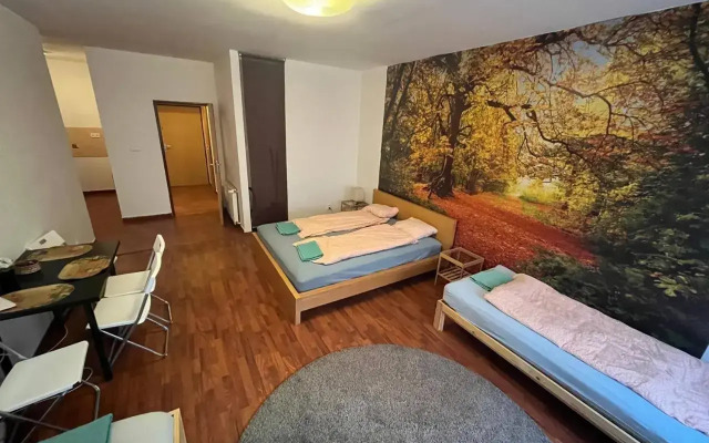 Apartment Spolkova