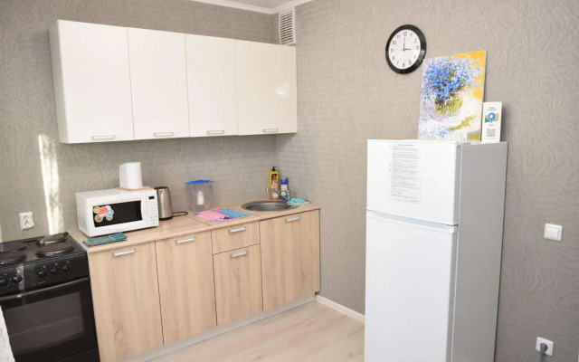 Apartment on Alexander Pushkin Street 1