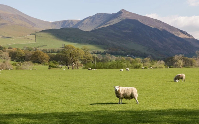 Scandale Bridge Cottage