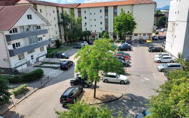 Vintage Central Apartament