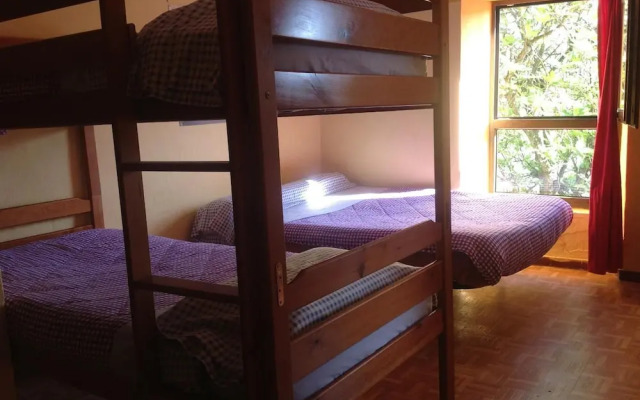 SURFtoLIVE House - Hostel