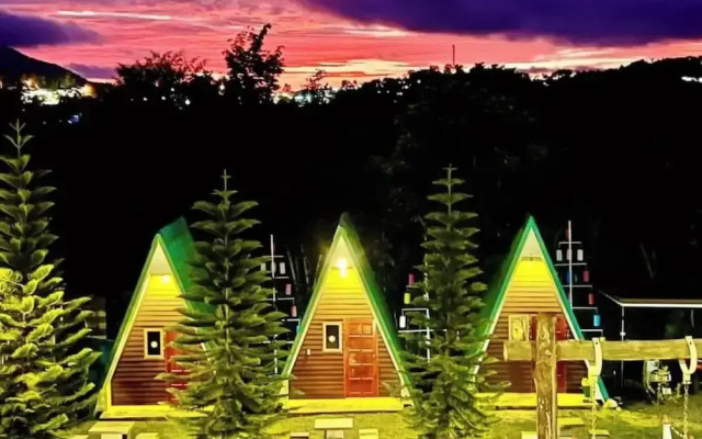 Yellowstone Cheewa View