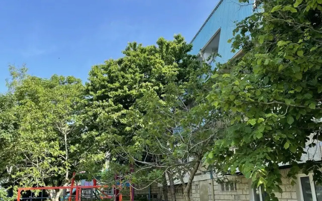 Amadina Garden