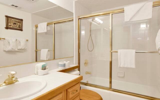 Bear Meadows SKI Chalet#2265